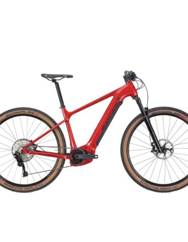 Bergstrom XCV 729