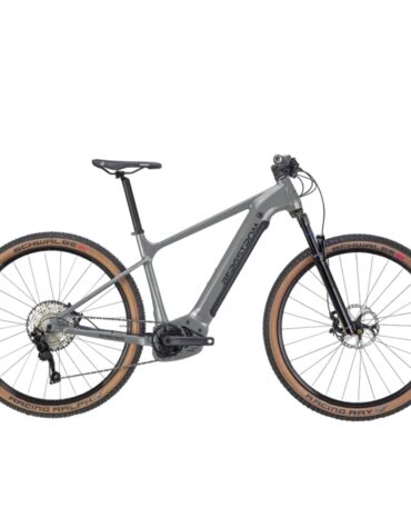 Bergstrom XCV 729