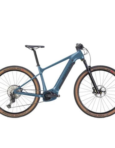 Bergstrom XCV 729