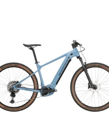 Bergstrom XCV 729