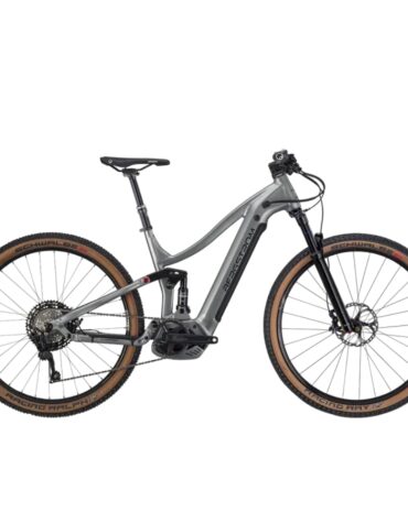 Bergstrom XCV 829