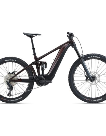 Giant Reign E+ 2
