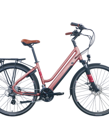 Zenith Bikes Classic Plus ZCL°02+