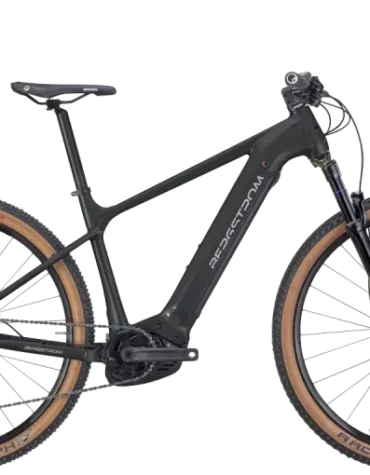 Bergstrom XCV 729